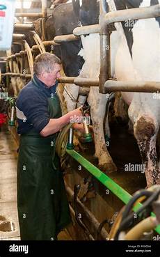 Catle Milking Units