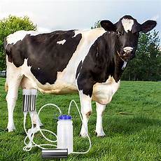 Cow Milking Machines