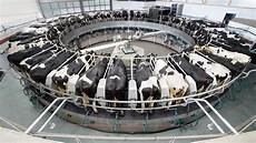 Cow Milking Systems