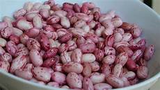 Cranberry Bean