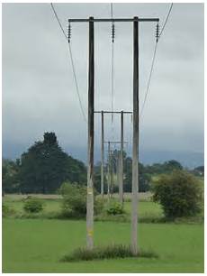Electricity Poles