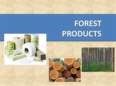 Forest Products