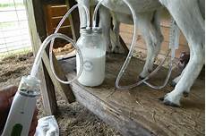 Goat Milking Machines