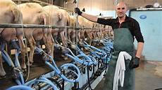 Sheep Milking Units