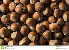 Shelled Hazelnut