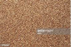 Walltowall Carpet