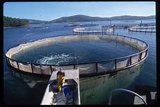 Aquaculture