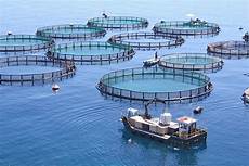 Aquaculture