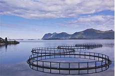 Aquaculture