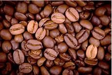 Arabica Coffee