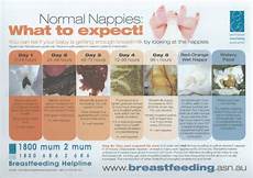 Baby's Nappies