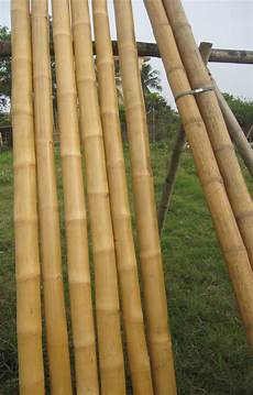 Bamboo Pole