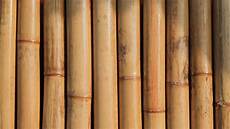 Bamboo Pole