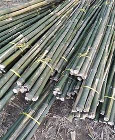 Bamboo Pole