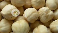 Blanched Hazelnut