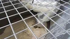 Bulk Material Mixers