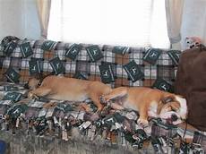 Camping Wears