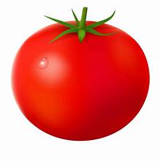 Carton Of Tomatoes