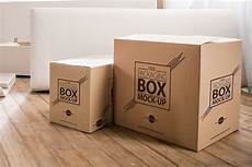 Carton Packaging