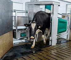 Catle Milking Systems
