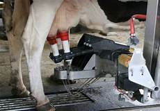Catle Milking Systems