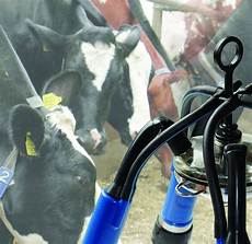 Catle Milking Systems