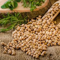 Chickpea