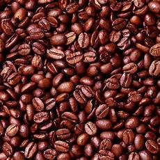 Coffee Arabica