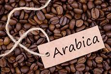 Coffee Arabica