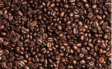 Coffee Bean