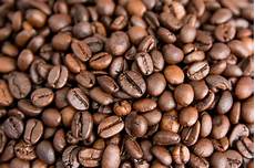 Coffee Bean