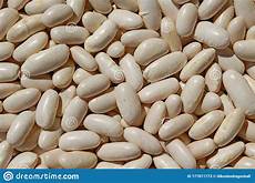 Common Beans