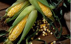 Corn