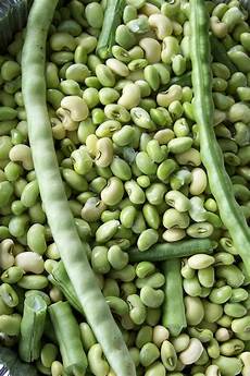 Cow Pea