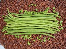 Cowpeas