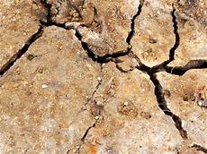 Cracked Rices