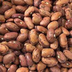 Cranberry Bean
