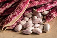 Cranberry Bean