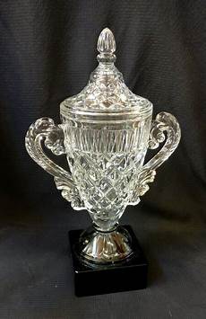 Crystal Cup New Bone