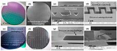 Diaphragms