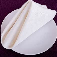 Dinner Napkin