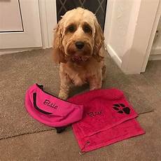 Doggy Towel