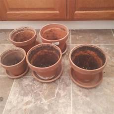 Drainage Plates