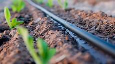 Drip Irrigation
