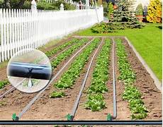 Drip Irrigation