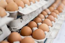 Egg Carton