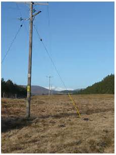 Electricity Poles