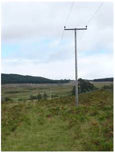 Electricity Poles