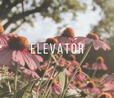 Elevator Revision Box