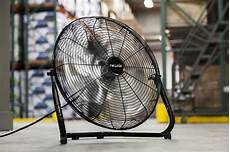 Fans
